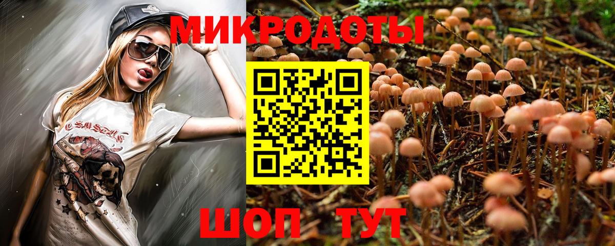 Галлюциногенные грибы Psilocybe Ростов Великий