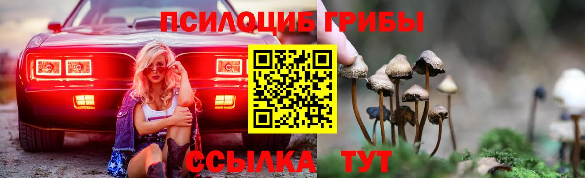 Галлюциногенные грибы GOLDEN TEACHER  наркотики  Ростов Великий  Вход с VPN 
